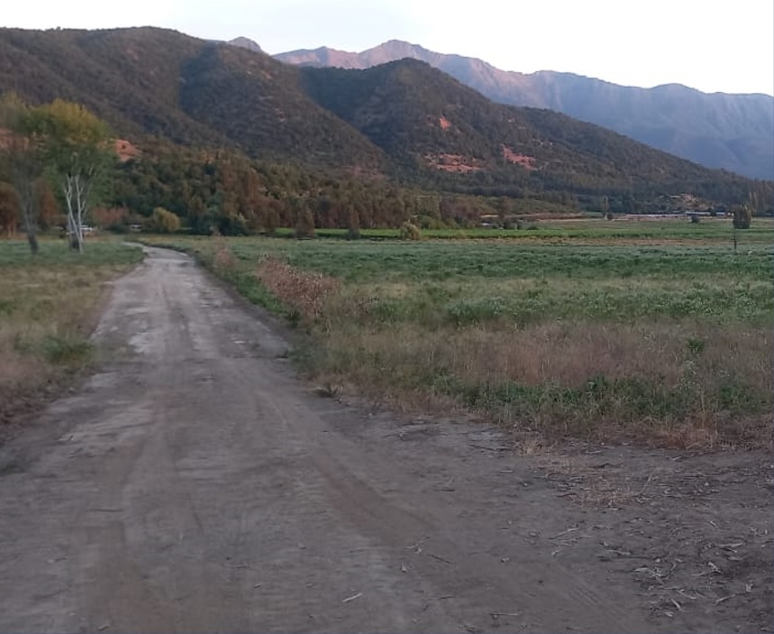 P Aguas Buenas_Chica